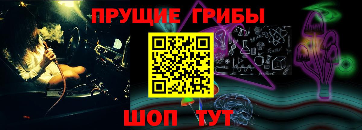 Ртищево  Псилоцибиновые грибы мицелий  Вход с VPN 